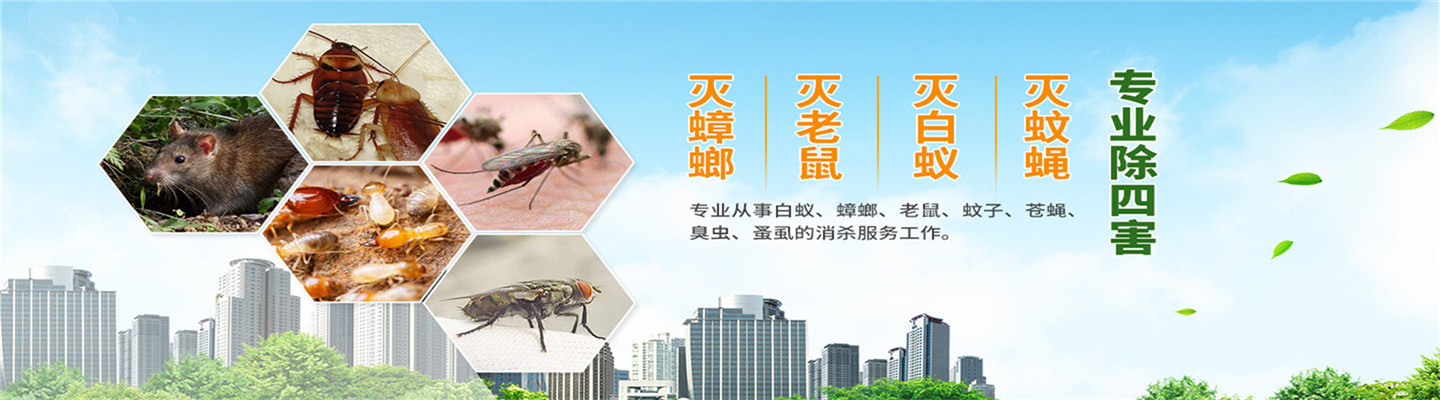 景德镇市绿洁有害生物防治有限公司