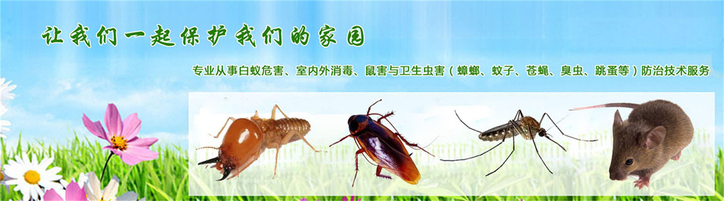 铜仁迪扬有害生物防治有限公司