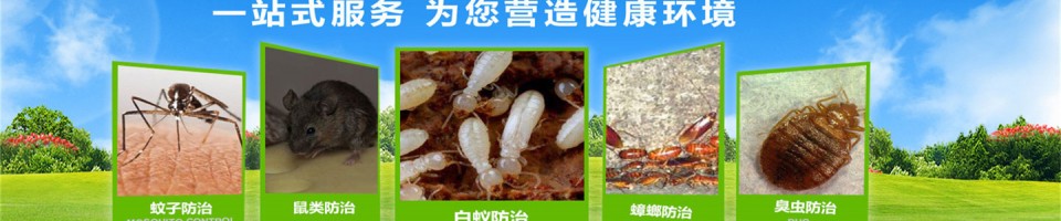 广西集思有害生物防治