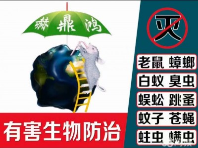 台州灭鼠除虫，用老鼠夹灭老鼠的几大注意事项？