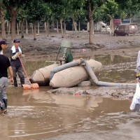 如何防止河道淤积对水质产生污染？