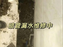 漏水检测真的能完全杜绝管道再次出现漏水问题吗？