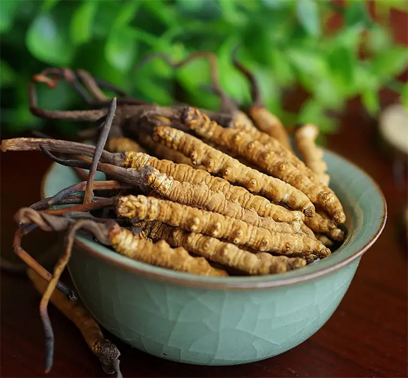 大邑冬虫夏草回收讲解虫草的保存措施