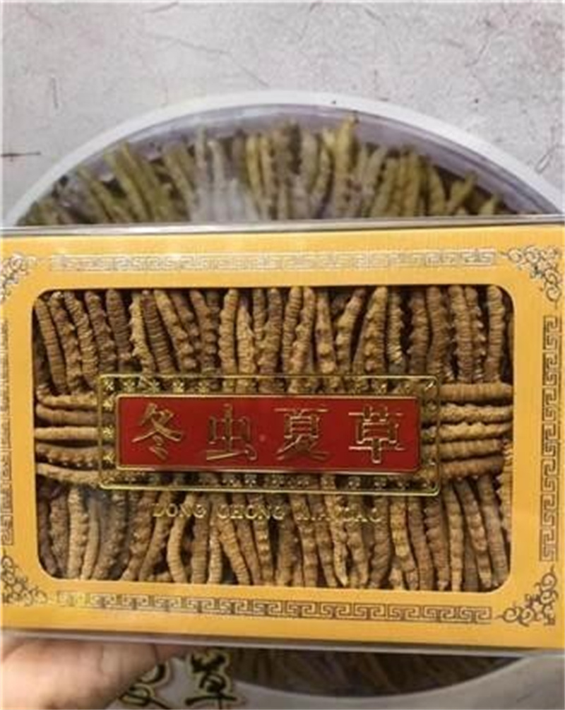 如何正确保存成都虫草，保持其最佳效用的关键步骤