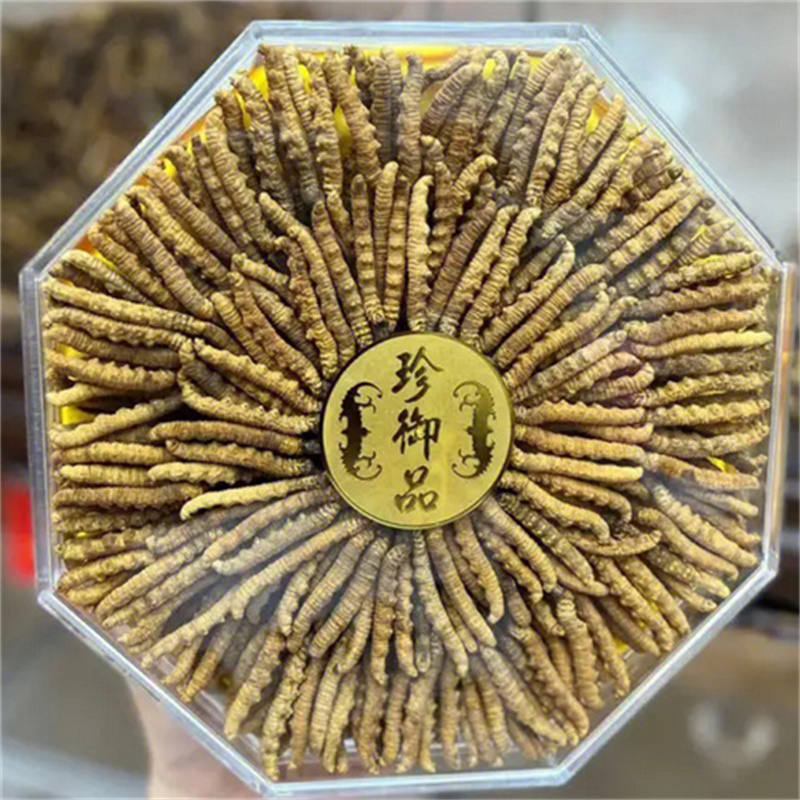 如何辨别高质量的冬虫夏草，一份详尽的指南