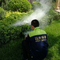 家里进了 “不速之客”？3 招教你科学灭鼠！