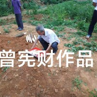 江西房屋内部风水布局