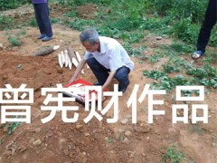 赣州三僚看风水